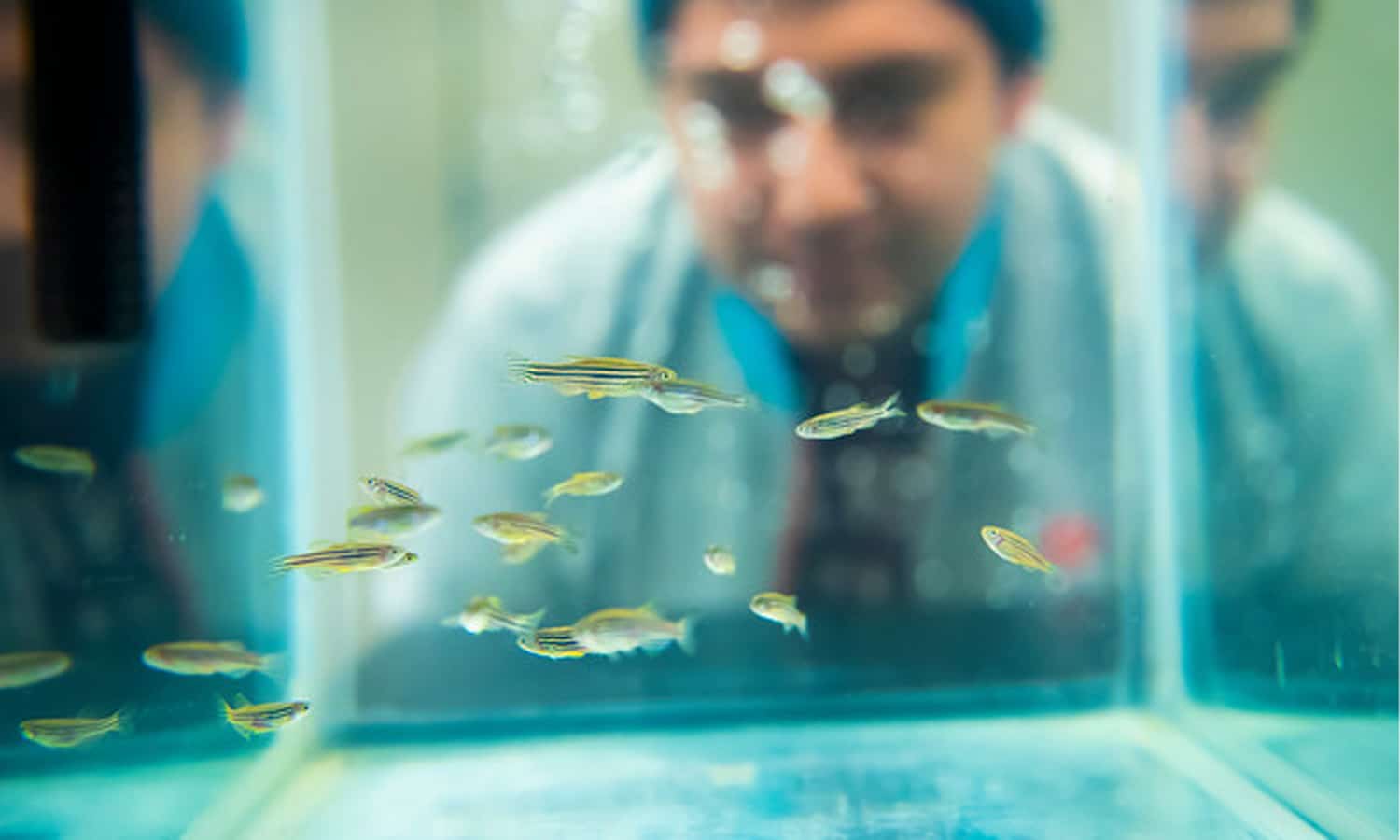 Biology and Environmental Science_0002_Layer 18