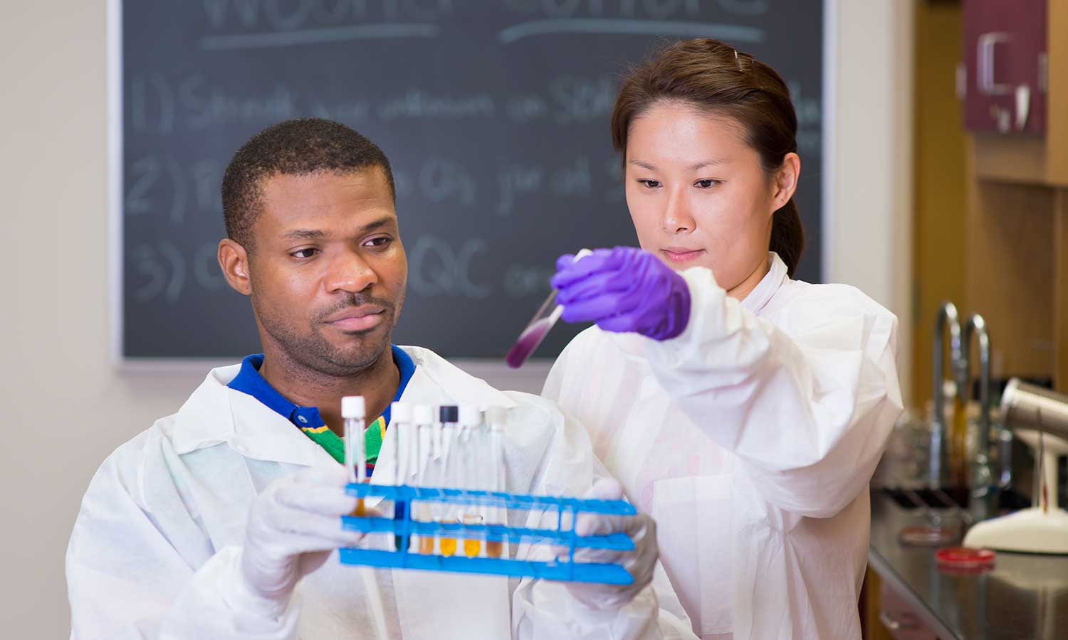 a man looking at the camera a man looking at the camera