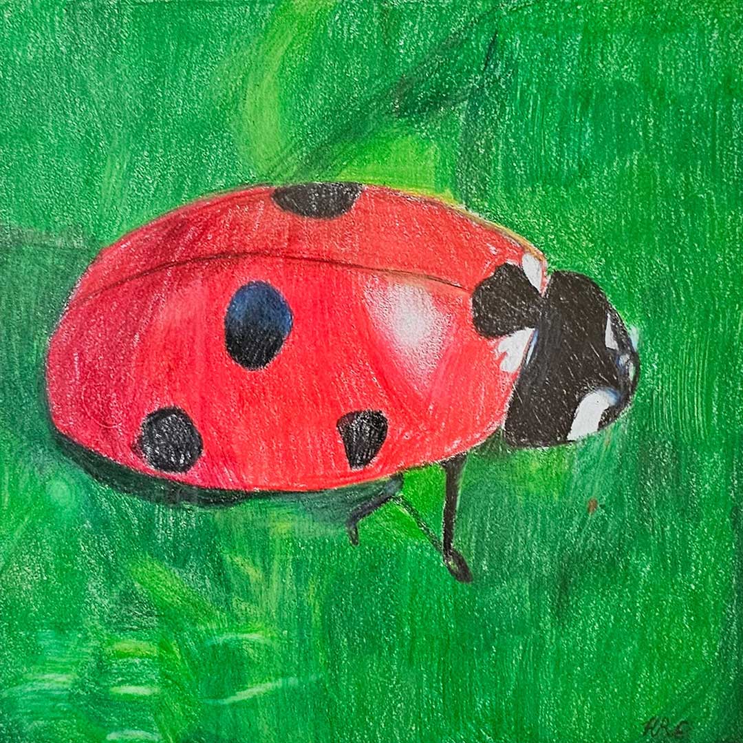 Harper Evans - Tikki